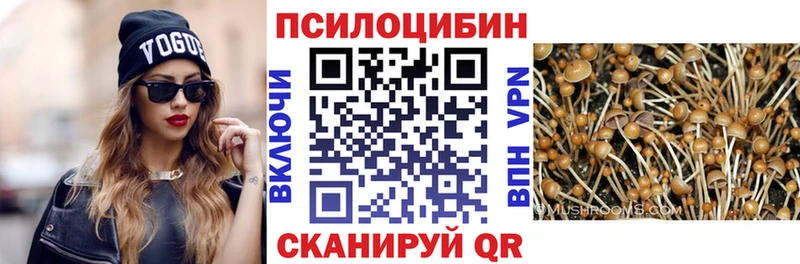 Купить закладки  Верхотурье  Псилоцибиновые грибы GOLDEN TEACHER 