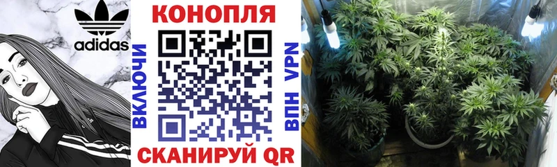 Шишки марихуана OG Kush  Купить закладки  Верхотурье 